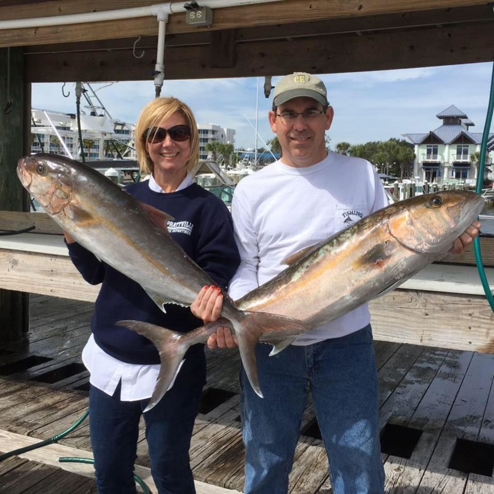 Meet your Posher, Tara